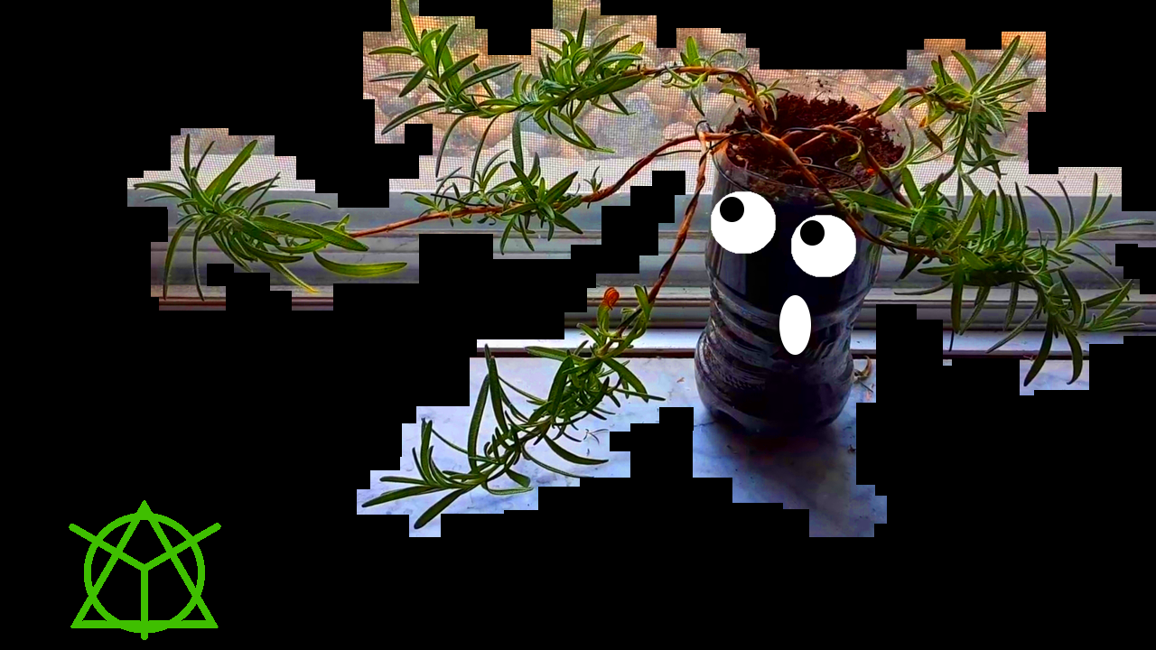 [ Transforming a plant into a Han Kengai ローズマリー Bonsai !!! ]